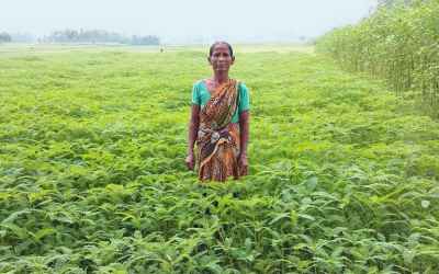 Deploying ducks: Climate-friendly rice farming empowers women