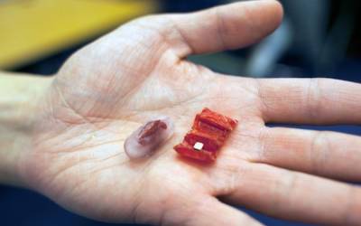 Programmable Matter in Medical Technology: The Origami Robot Made of Meat