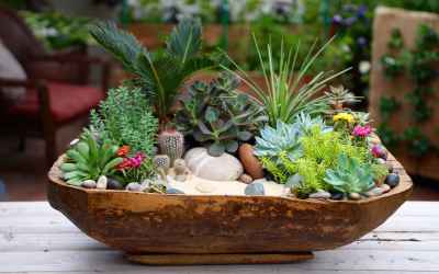 Antique Dough Bowl Turned Succulent Planter