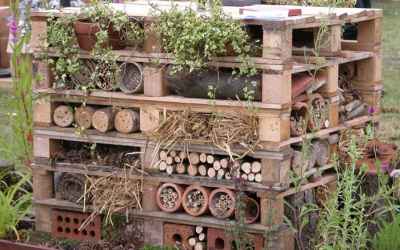 Attract Beneficial Insects & Bees With Your Own Insect Hotel