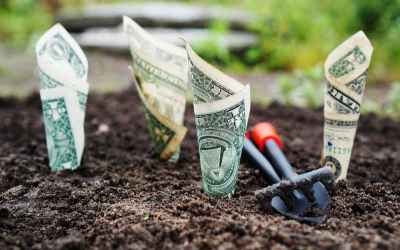How to Ensure Your Financial Growth is Secure? - Trdinoo
