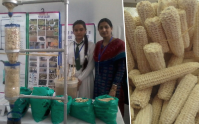 13 Year Old Invents A Water Purifier Made Out of Corn Cobs