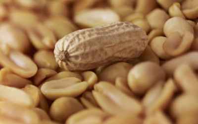 A New Therapy May Cure Kids of Peanut Allergy