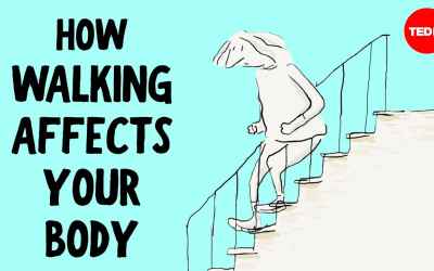 Do you really need to take 10,000 steps a day? - Shannon Odell