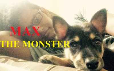 Max | my therapist | Monster
